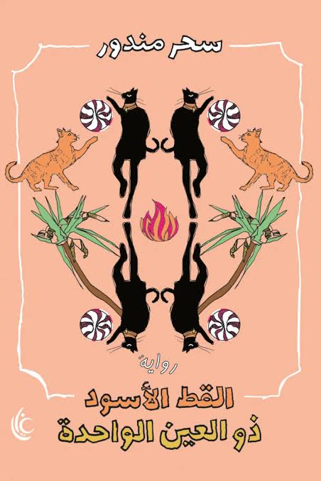 القط الأسود ذو العين الواحدة