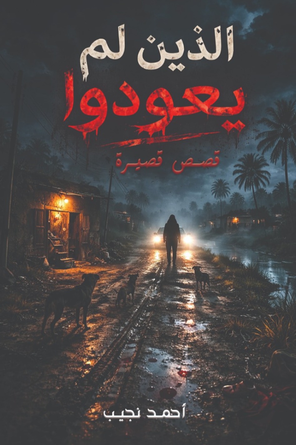 الذين لم يعودوا