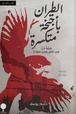 الطيران بأجنحة متكسرة