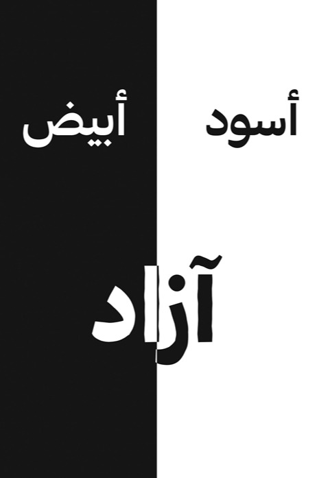 أسود أبيض